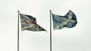 En brittisk och en skotsk flagga utanför det skotska departementet i London.