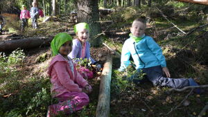 Amina Kahie, Ronja Nykvist och Eetu Launokorpi sågar till en del till kojan de håller på med. Utomhusförskolan i Kimito.