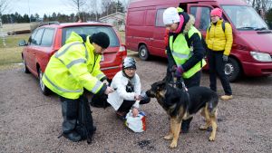 Hundarna får dofta på den försvunnes klädesplagg. En hund doftar på ett klädesplagg.
