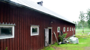Framöver kommer det att bo betydligt färre hästar i stallet från 1992. Ingemo Grönqvist kommer ändå att hålla kvar några av sina tio hästar. Rött stall med många små fönster.
