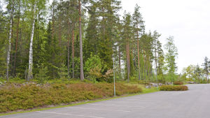 Selännehallen ska få plats ovanför parkeringsplatsen. Det är bara några hundra meter till Henrik Gahmbergs hem. Här ska Selänne-hallen byggas
