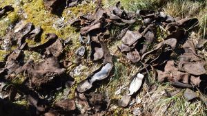 Bild på gamla skor hittade nedgrävda i Svenviken i Ingå