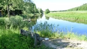 En idé var att låta bland annat skolbarn plantera blombänkar, grönsaker och äppelträd vid åstrandens park. Åparken i Sjundeå får sig ett lyft då byborna har talko.