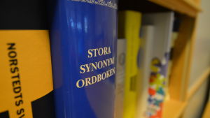 Arbetsgivare som förbinder sig vid etableringsjobbmodellen kan erbjuda till exempel språkkurser åt arbetstagaren. Stora synonymordboken.