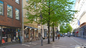Stora Robertsgatan är en av de få gågator Helsingfors har i dag. Stora Robertsgatan i Helsingfors juni 2015