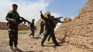 Över 5 500 afghanska regeringssoldater dödades ifjol, de allra flesta av dem i provinsen Helmand i sydöstra Afghanistan. Här tar soldater skydd i distriktet Babaji i Helmand Över 5 500 afghanska regeringssoldater dödades ifjol, de allra flesta av dem i provinsen Helmand i sydöstra Afghanistan. Här tar soldater skydd i distriktet Babaji i Helmand