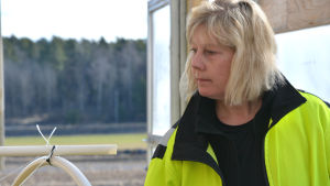 Mona Gullblom har efter 30 år på kontor valt att bli trädgårdsmästare. Mona Gullblom i profil i ett växthus med ett öppet landskap bakom sig.