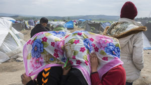 Tre flickor skyddar sina ansikten mot vinden i flyktinglägret Idomeni vid den grekiska gränsen till Makedonien. Tre flickor skyddar sina ansikten mot vinden i flyktinglägret Idomeni vid den grekiska gränsen till Makedonien.