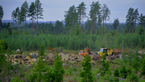 Bilden är från byggarbetena i mars 2017 En vid bild av skog där några grävmaskiner och en dumper syns.