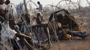 Konflikten i Sydsudan har lett till att nästan en femtedel av landets befolkning drivits på flykt. Sydsudanesiska flyktingar på ett läger i Juba i Sydsudan.