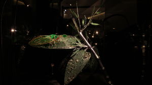 Cikada (蟬) och Zen (禪) låter på kinesiska ganska lika. Stilled Life (2015) brosch. Broschen "Stilled Life" visades på konstmässan Tefaf i Maastricht 2016