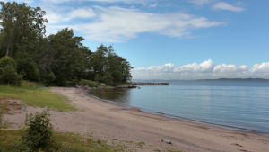 TBE har kommit till Mjölö med flyttfåglar Lång sandstrand med utsikt mot Helsingfors.