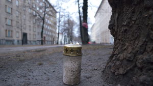Stadsborna har bland annat fört gravljus till allén vid Mechelingatan. Gravljus på Mechelingatan på grund av träd som fälls.