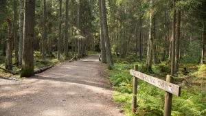 Sedan 2012 har ett stort terränglöpningsevenemang ordnats i Noux, nämligen Noux Classic Trail Marathon. Då springer deltagarna antingen 42 kilometer eller 70 om de väljer springa ultra maraton. Nuuksionkansallispuisto