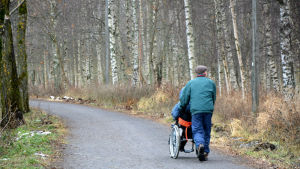 En äldre man kör en person i rullstol längs promenadstråket runt Metviken i Vasa