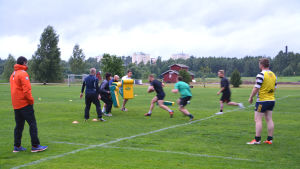 Spelarna delar upp sig i små grupper som turvis springer mot lagmedlemmarna som håller upp de gula dynorna. Laget tränar på att ta bollen av motståndarna. rugbyspelare på gräsplan. Några springer mot dynor som andra håller upp.