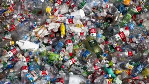 Bara 2016 såldes 480 miljoner plastflaskor. 
