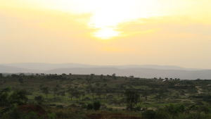 Landskapen på flyktingbosättningen i Nakivale Flyktingosättningen Nakivale i Uganda