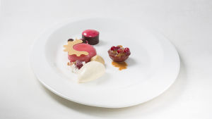 Så här ser kocklandslagets efterrätt ut på tallriken. En dessert på en vit tallrik.