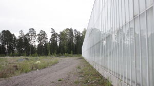 Här planerade Isaksson att bygga ett nytt växthus. Isakssons växthus i Korpo