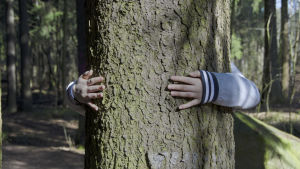 flicka kramar träd