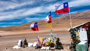 Färgklick vid vägen i det annars extremt monotona landskapet kring Paranal Landsväg i Chile. Atacamaöknen.