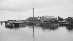Borgå ångsåg på Ängsholmen utanför Hammars. Året är 1909. Borgå ångsåg på Ängsholmen utanför Hammars. Bilden är tagen 1909.