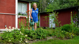 Tarja Kemppainen föredrar tystnad framom buller. Tarja Kemppainen vattnar sin blomrabatt