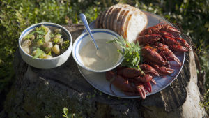 Kokta kräftor med majonnäs och bröd, dill och fånkålskokta potatisar Kokta kräftor med majonnäs och bröd, dill och fånkålskokta potatisar
