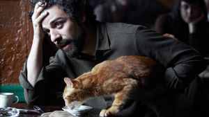 Llewyn Davis (Oscar Isaac) ja kissa. Kuva elokuvasta Inside Llewyn Davis.