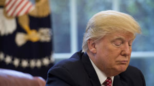 Donald Trump stirrar ner i bordet iklädd kostym i ett arbetsrum som syns suddigt i bakgrunden.