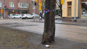 Ett sätt att protestera mot att lindarna fälls på Mechelingatan. Ett träd på Mechelingatan, också det ska fällas snart.