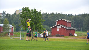 Akseli Peltoniemi tar emot bollen som kastas in på plan. Han har nytta av sin längd och får dessutom en knuff uppåt av sina lagkamrater. Rugbyspelare på gräsplan. Akseli Peltomäki i gult lyfts upp av två andra så han kan ta i bollen som en spelare kastar.