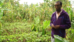 Den unga bonden Girma Hamama har tidigt fått lära sig utmaningarna med det förändrade klimatet. etiopidk bonde