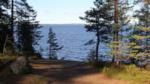 Järvimaisema