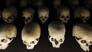 Folkmordet i Rwanda 1994 ledde till nästan en miljon dödsoffer, tutsier och hutun. Gnistan till brutaliteterna var mordet på landets president, hutun Juvenal Habyarimana. Bilden på skallarna är från Kigali Memorial Center. Skallar av döda efter folkmordet i Rwanda.