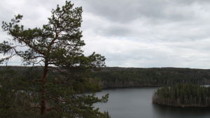 Järvinäköala Aulangolta