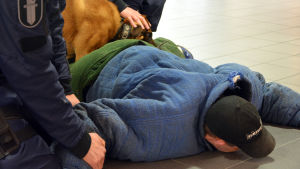 Polishunden Tare fick tag på den fiktiva brottslingen under en polishundsövning i Rewell Center i Vasa. Två poliser och en polishund har fått ner en man på golvet i Rewell Center i Vasa.