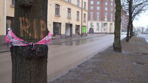Vila i frid - det budskapet pryder flera träd på Mechelingatan. Det att träden fälls på Mechelingatan upprör.