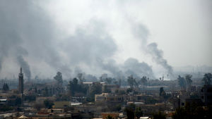 Hårda strider rasar i västra Mosul som bäst. Östra Mosul som ligger på andra sidan om floden Tigris befriades i början av året Hårda strider rasar i västra Mosul som bäst. Östra Mosul som ligger på andra sidan om floden Tigris befriades i början av året