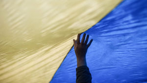 Ukrainska flaggan. - (Copyright: EPA/KONSTANTIN IVANOV ) Ukrainska flaggan.