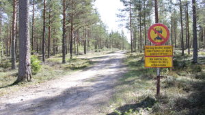 Om du besöker stället möts du tillsvidare av skog, en skogsväg och en förbudsskylt. Just nu är området helt vanlig skog men en liten skogsväg.