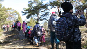 Naturskolan Uttern på skogsvandring. Arkivbild. barn på utflykt i skog