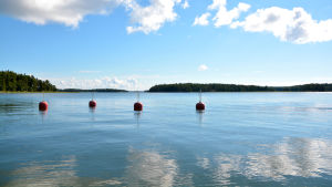Båtlivet lockar inte längre unga människor i lika stor utsträckning som tidigare, visar en undersökning av Finnboat. Kabbölefjärden.