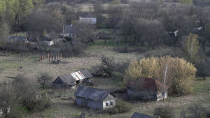 Den övergivna byn Krasnoselje är belägen närmare än 30 km från kärnkraftverket i Tjernobyl. Krasnoselje