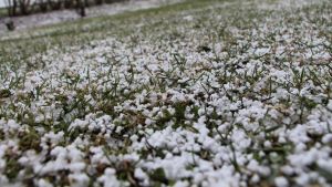 Till exempel lokala hagelskurar eller träd som fallit omkull på grund av blåst är bra att rapportera via väderappen. Det hjälper meteorologer att veta vad som händer på lokal nivå. Väderstationerna ligger ändå ganska långt ifrån varandra. Hagel.