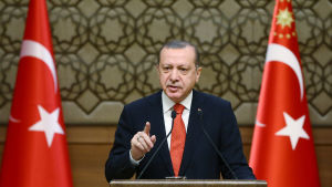 Turkiets president Recep Tayyip Erdoğan krävde att USA:s ambassadör i landet sparkas. Turkiets president Recep Tayyip Erdoğan har länge krävt större maktbefogenheter och ser nu ut att få dem trots motstånd från oppositionen
