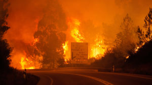 Skogsbrand i Leiriadistriktet i Portugal. Skogsbrand i Leiriadistriktet i Portugal.