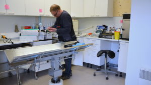 Snart ska allt vara på sin plats i barackerna. Pargas veterinärmottagning.