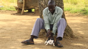 Livet på landet betyder mycket kroppsarbete. Ibland hinner man leka med katten också. man krafsar katt i norra uganda